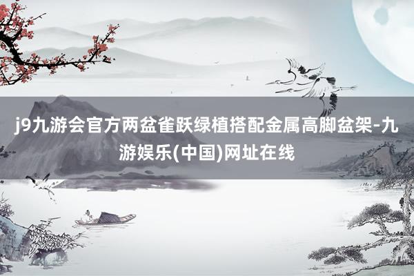 j9九游会官方两盆雀跃绿植搭配金属高脚盆架-九游娱乐(中国)网址在线