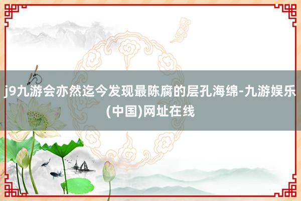 j9九游会亦然迄今发现最陈腐的层孔海绵-九游娱乐(中国)网址在线