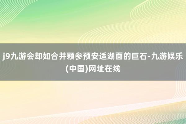j9九游会却如合并颗参预安适湖面的巨石-九游娱乐(中国)网址在线