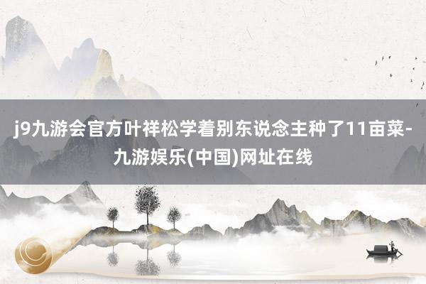 j9九游会官方叶祥松学着别东说念主种了11亩菜-九游娱乐(中国)网址在线