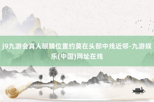 j9九游会真人眼睛位置约莫在头部中线近邻-九游娱乐(中国)网址在线