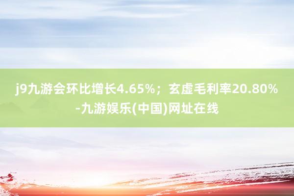 j9九游会环比增长4.65%；玄虚毛利率20.80%-九游娱乐(中国)网址在线
